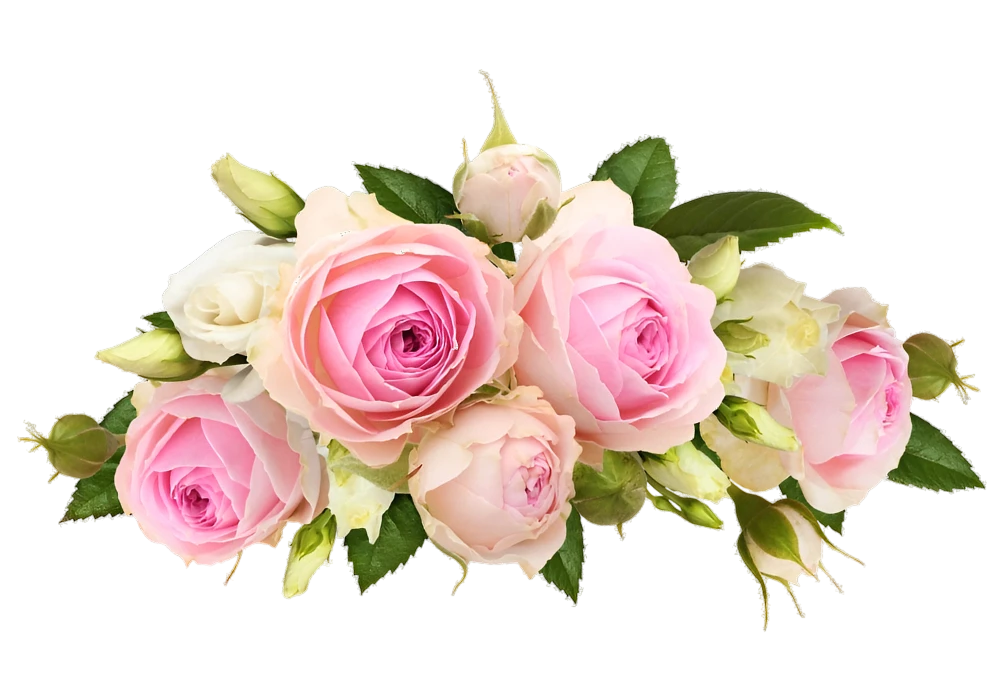 Au Paillon Fleuri Fleuriste A Nice Location De Decoration A Theme 1