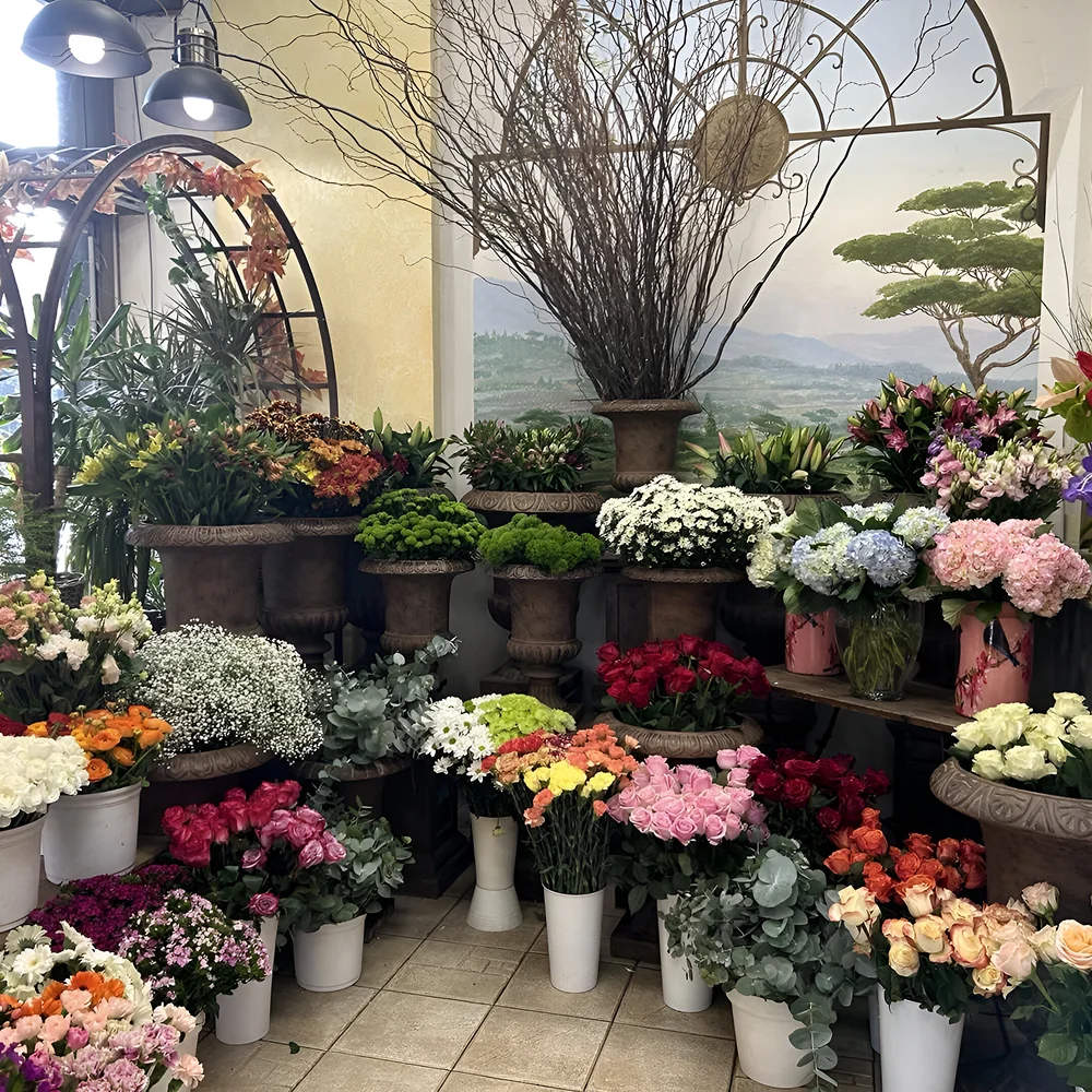 Au Paillon Fleuri Fleuriste A Nice Sublimez Vos Instants Precieux Avec Votre Fleuriste 1